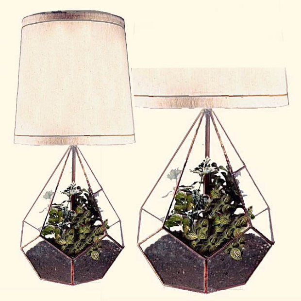 lamp_terrarium.jpg - 117.72 K