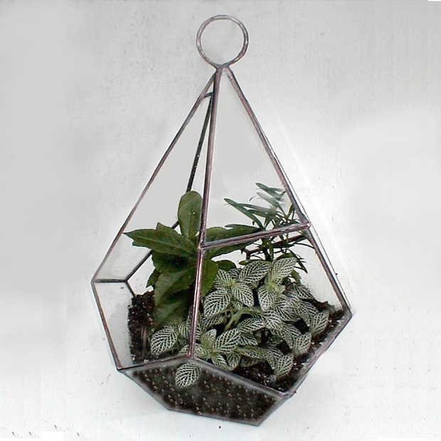 teardrop_terrarium.jpg - 119.93 K