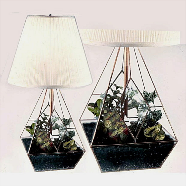 terrarium_lamp.jpg - 116.91 K